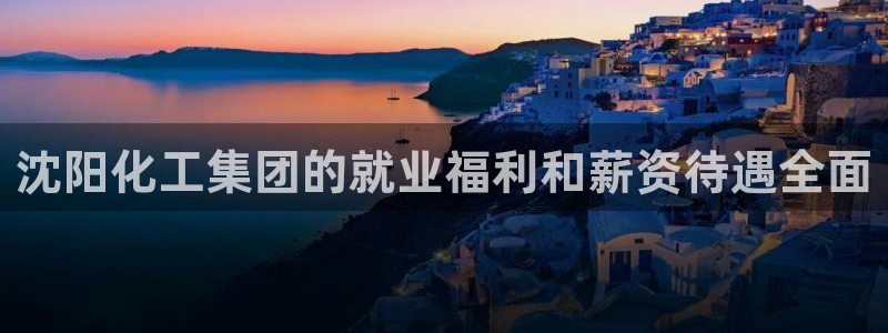 球盟会手机网页版：沈阳化工集团的就业福利和薪资待遇全面