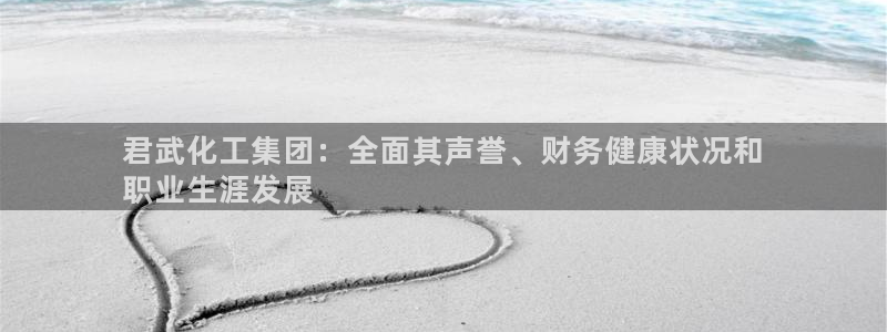 球盟会平台怎么样：君武化工集团：全面其声誉、财务健康状况和

