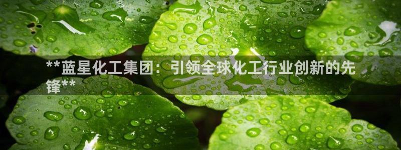 球盟会app安装：**蓝星化工集团：引领全球化工行业创新的先
