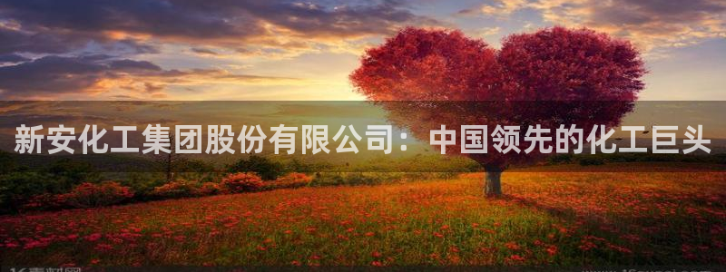 球盟会官方网站：新安化工集团股份有限公司：中国领先的化工巨头
