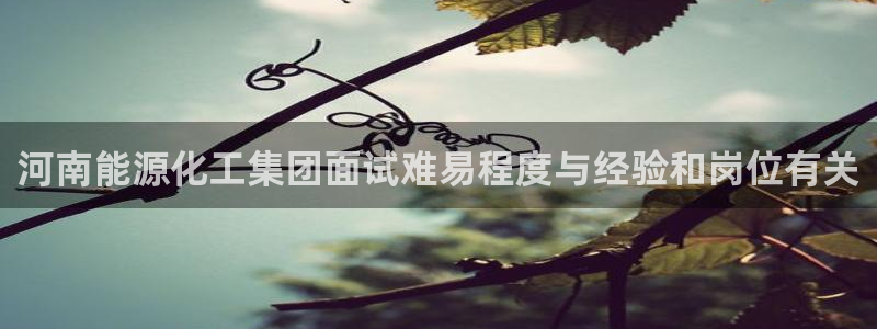 球盟会官方网入口：河南能源化工集团面试难易程度与经验和岗位有