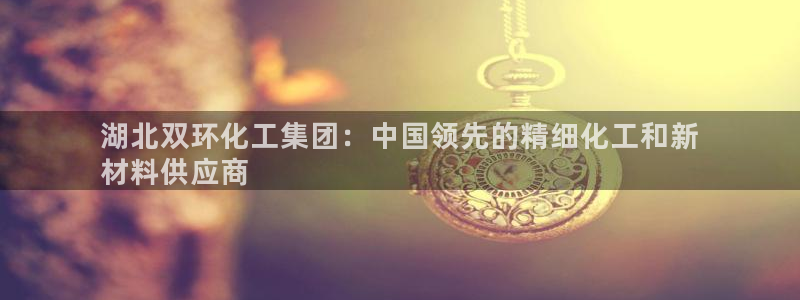 球盟会qmh官网：湖北双环化工集团：中国领先的精细化工和新
