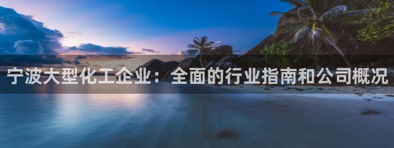 球盟会中国网页登录：宁波大型化工企业：全面的行业指南和公司概