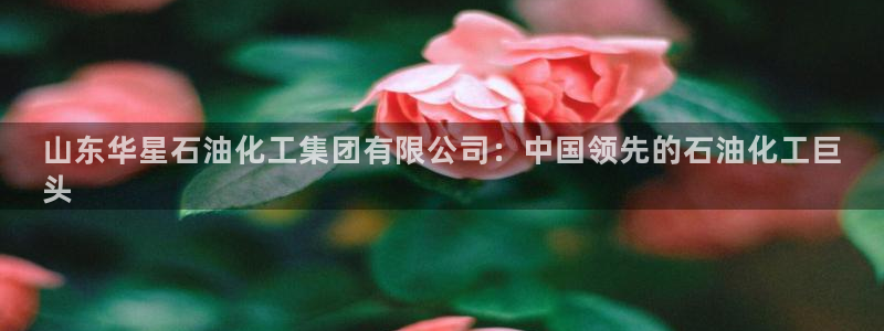 球盟会APP下载：山东华星石油化工集团有限公司：中国领先的石