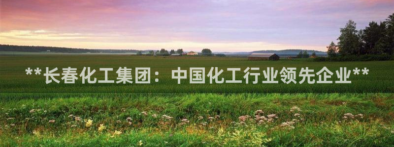 球盟会里面有打牌的嘛是真的吗：**长春化工集团：中国化工行业
