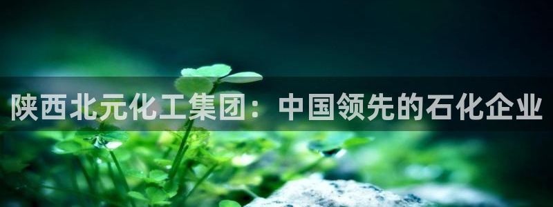 球盟会和中欧：陕西北元化工集团：中国领先的石化企业