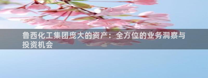 球盟会体育app官方网站：鲁西化工集团庞大的资产：全方位的业