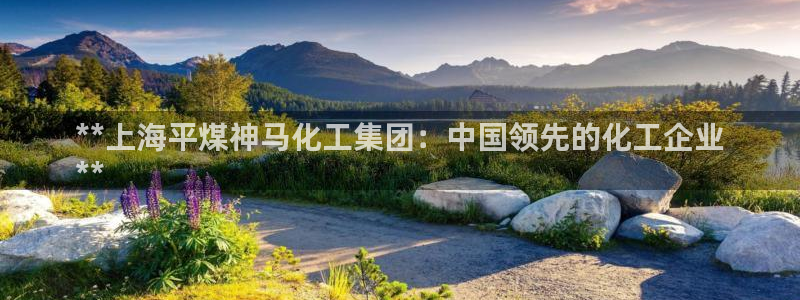 球盟会可以提现么是真的吗：**上海平煤神马化工集团：中国领先