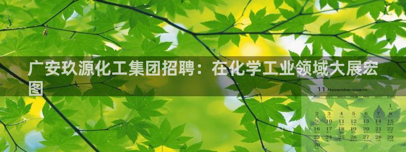 球盟会最新：广安玖源化工集团招聘：在化学工业领域大展宏
图