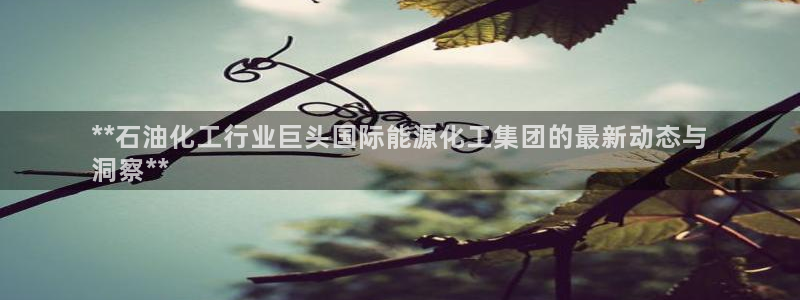 球盟会app入口：**石油化工行业巨头国际能源化工集团的最新