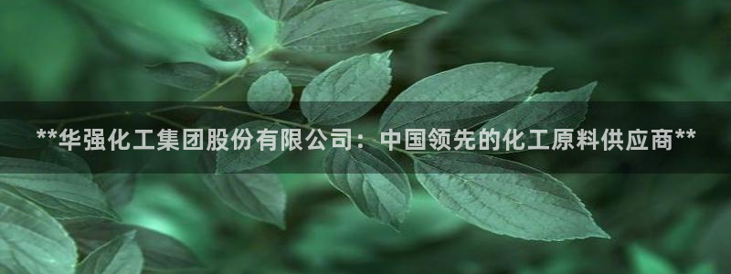 球盟会官方客服：**华强化工集团股份有限公司：中国领先的化工