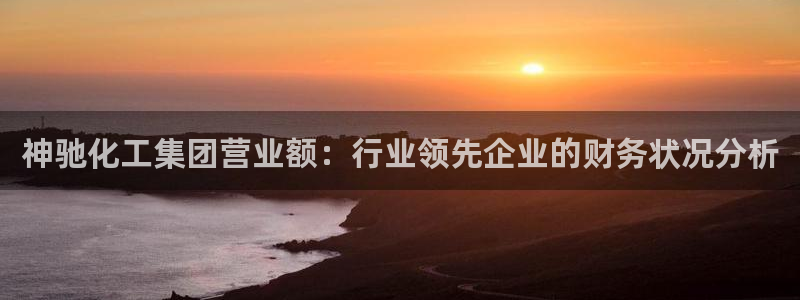 球盟会登录平台入口：神驰化工集团营业额：行业领先企业的财务状