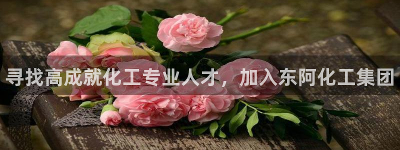 球盟会APP下载：寻找高成就化工专业人才，加入东阿化工集团