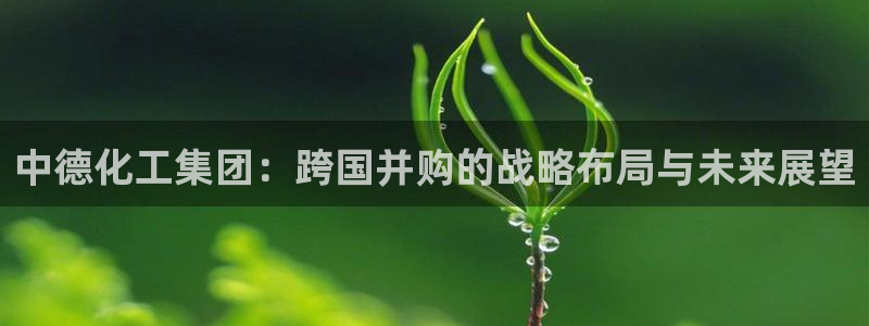 球盟会登录平台：中德化工集团：跨国并购的战略布局与未来展望