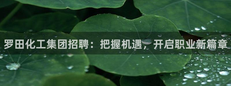 球盟会优惠券：罗田化工集团招聘：把握机遇，开启职业新篇章