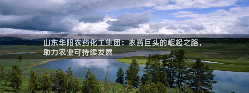球盟会官网入口：山东华阳农药化工集团：农药巨头的崛起之路，
