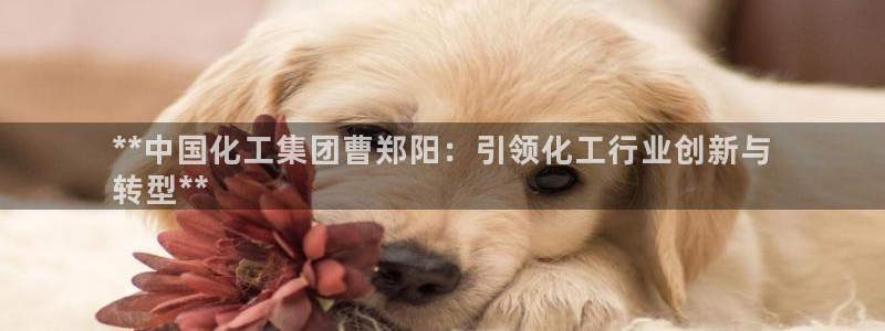 球盟会有没有黑单的球员：**中国化工集团曹郑阳：引领化工行业