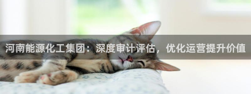 球盟会官方版下载地址：河南能源化工集团：深度审计评估，优化运