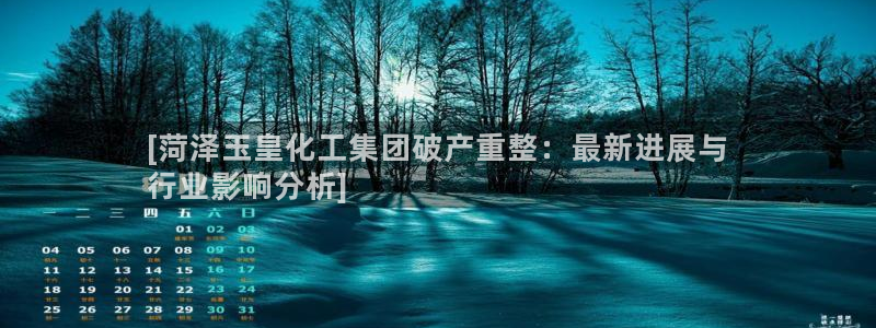 球盟会电子好下吗：[菏泽玉皇化工集团破产重整：最新进展与
行