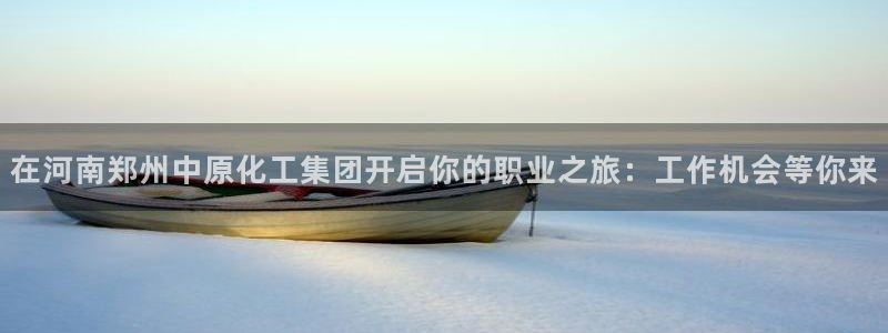 球盟会官方客服：在河南郑州中原化工集团开启你的职业之旅：工作