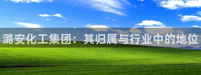 球盟会官网网页版：潞安化工集团：其归属与行业中的地位