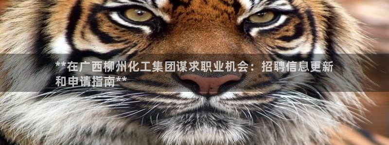 球盟会登录平台入口：**在广西柳州化工集团谋求职业机会：招聘