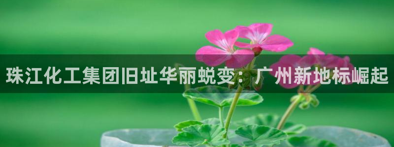 球盟会app最新地址在哪看：珠江化工集团旧址华丽蜕变：广州新