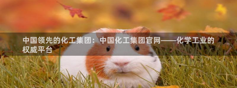 球盟会里面有打牌的嘛知乎：中国领先的化工集团：中国化工集团官