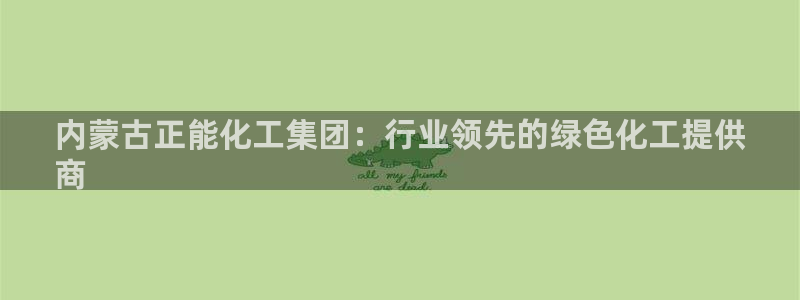 球盟会官网网页版：内蒙古正能化工集团：行业领先的绿色化工提供
