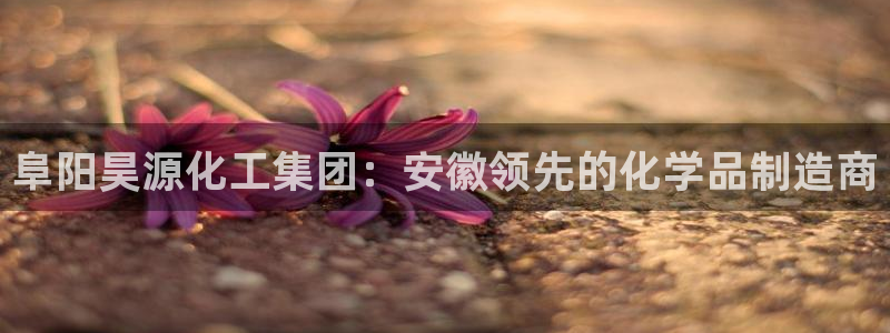 球盟会app最新地址在哪看：阜阳昊源化工集团：安徽领先的化学