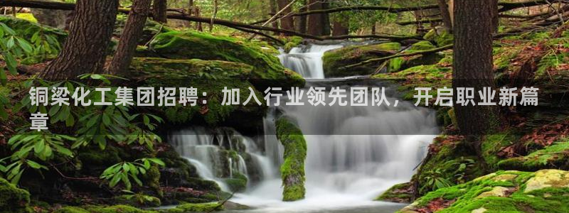 球盟会封禁：铜梁化工集团招聘：加入行业领先团队，开启职业新篇