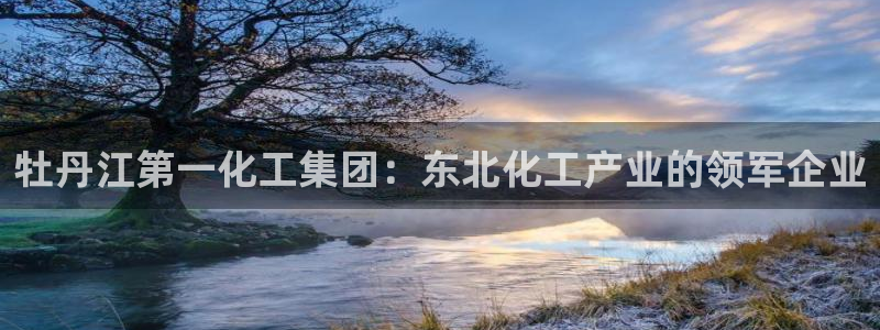 球盟会黑台：牡丹江第一化工集团：东北化工产业的领军企业