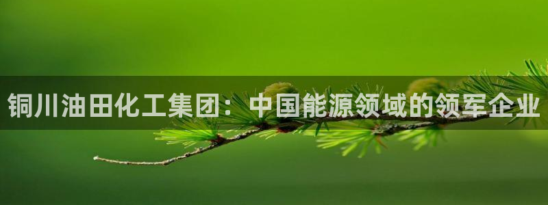 球盟会可以提现么现在：铜川油田化工集团：中国能源领域的领军企