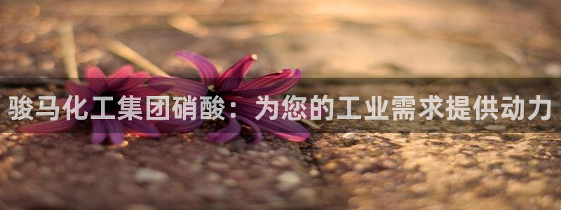 球盟会能退钱吗现在：骏马化工集团硝酸：为您的工业需求提供动力