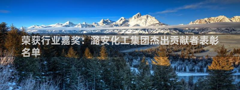 球盟会qmh：荣获行业嘉奖：潞安化工集团杰出贡献者表彰
名单