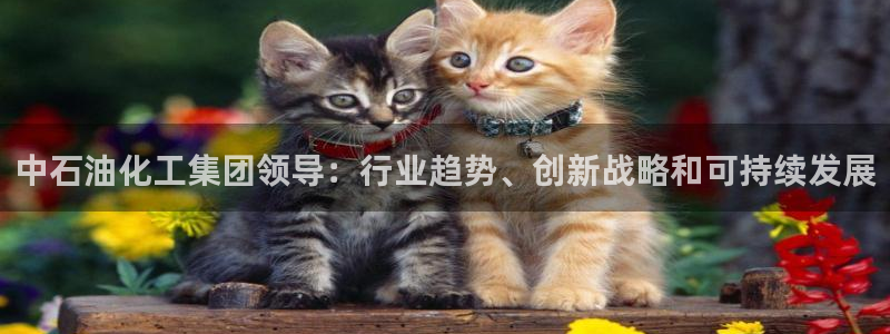 球盟会黑款吗：中石油化工集团领导：行业趋势、创新战略和可持续