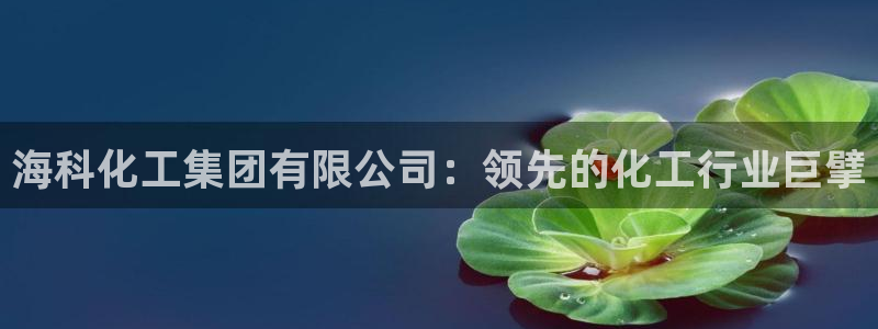 球盟会能退钱吗知乎：海科化工集团有限公司：领先的化工行业巨擘