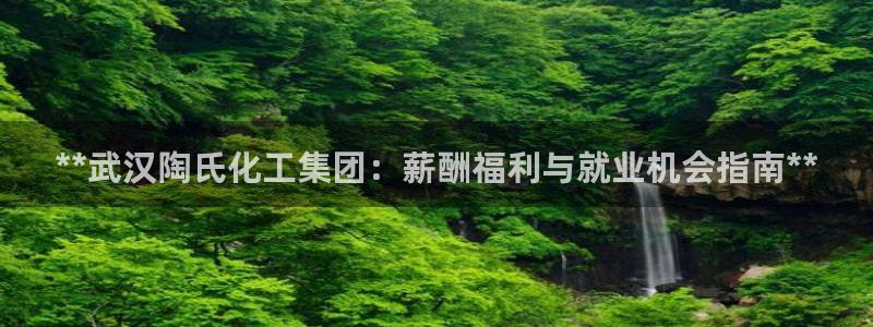 球盟会邮箱：**武汉陶氏化工集团：薪酬福利与就业机会指南**