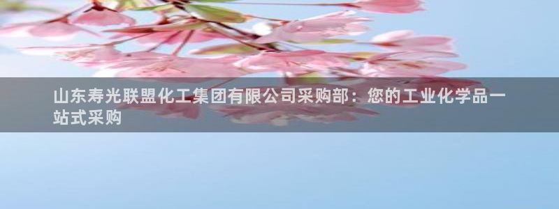 球盟会qm8597：山东寿光联盟化工集团有限公司采购部：您的