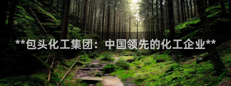 球盟会国际官网：**包头化工集团：中国领先的化工企业**