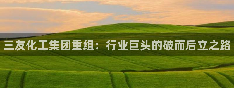 球盟会网页版：三友化工集团重组：行业巨头的破而后立之路