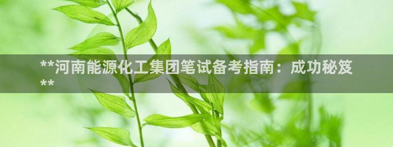 球盟会登录网址：**河南能源化工集团笔试备考指南：成功秘笈
