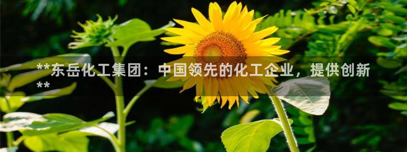 球盟会能提现吗是真的吗：**东岳化工集团：中国领先的化工企业