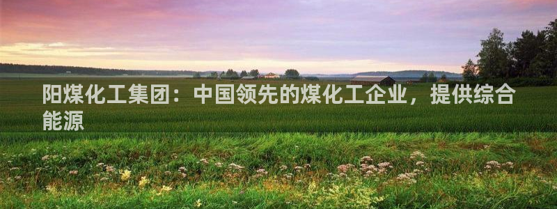球盟会和中欧会的区别：阳煤化工集团：中国领先的煤化工企业，提
