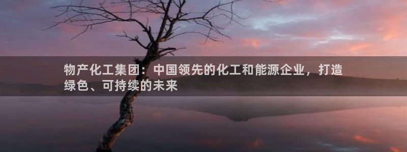 球盟会能退钱吗现在：物产化工集团：中国领先的化工和能源企业，