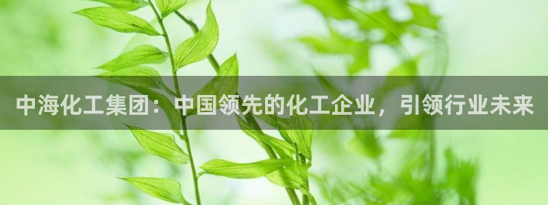 球盟会中国官方网站：中海化工集团：中国领先的化工企业，引领行