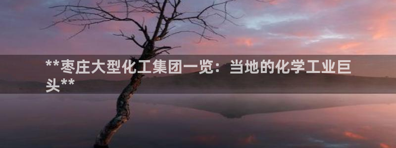 球盟会贴吧：**枣庄大型化工集团一览：当地的化学工业巨
头*