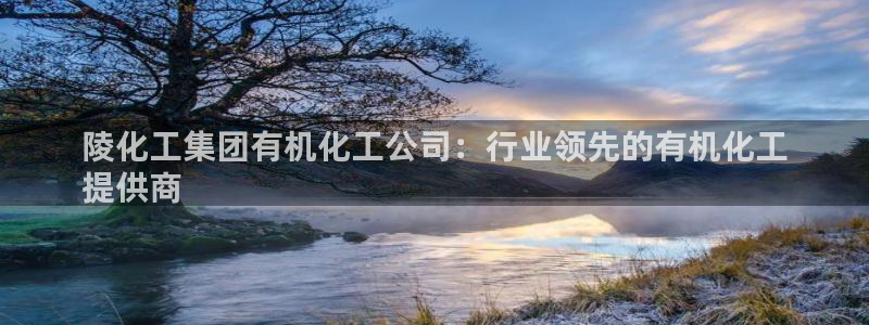 球盟会综合体育平台怎么样：陵化工集团有机化工公司：行业领先的