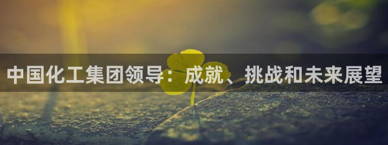 球盟会体验金球奖吗：中国化工集团领导：成就、挑战和未来展望
