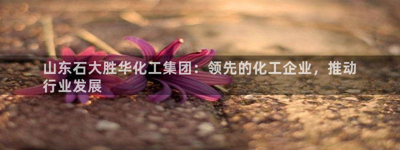 球盟会qmh网址：山东石大胜华化工集团：领先的化工企业，推动